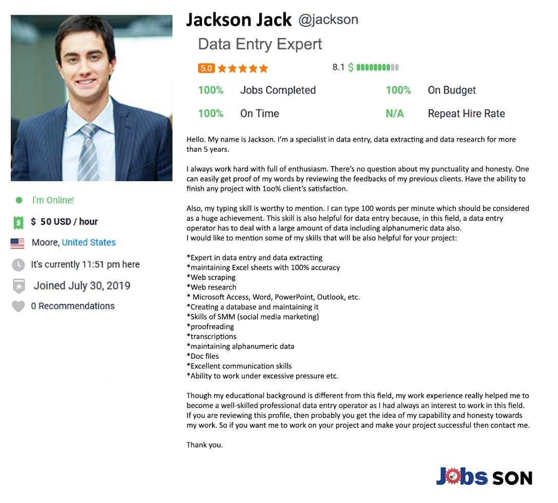 Freelancer Profile Summary Sample For Data Entry