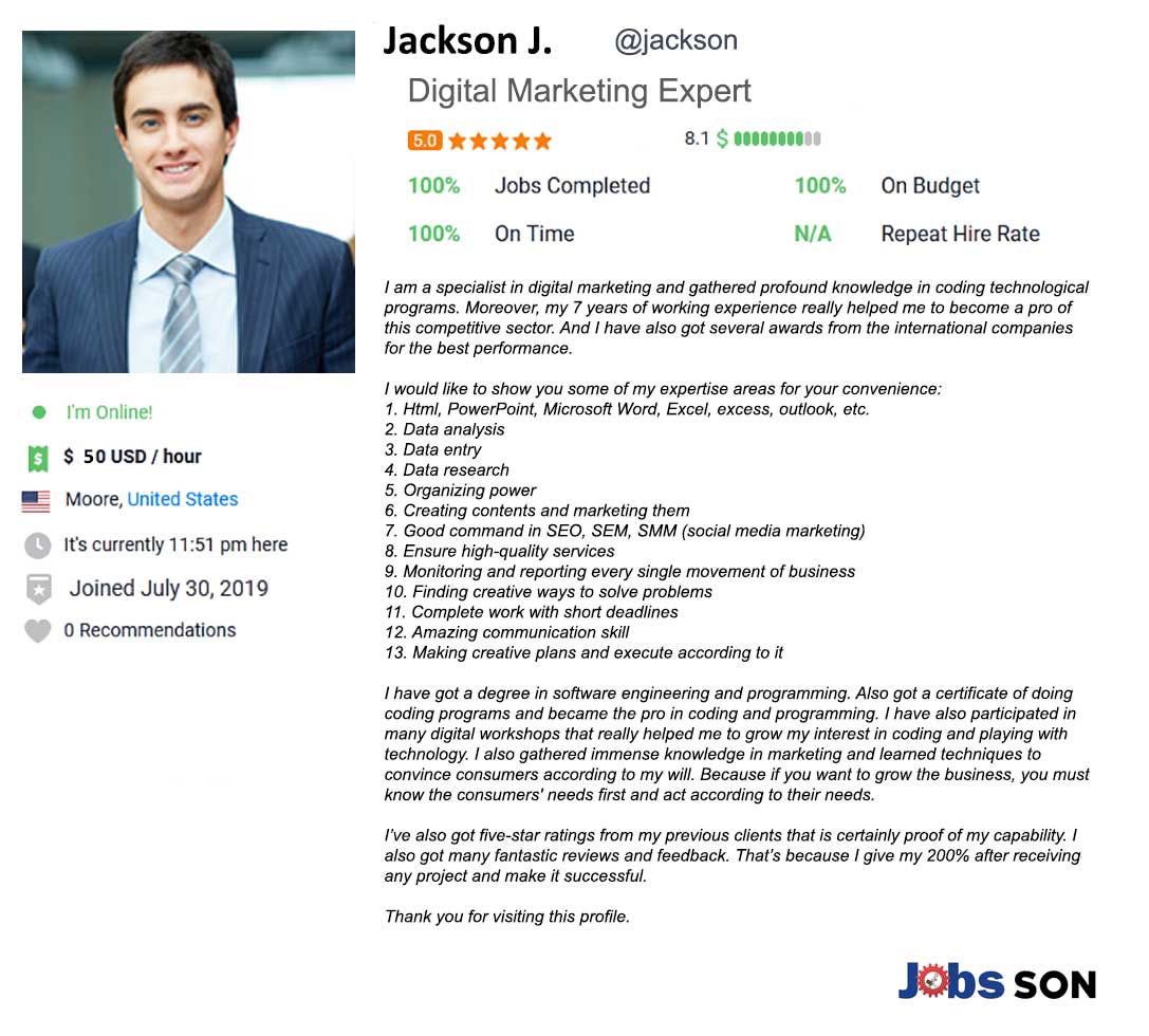 Freelancer Profile Summary Sample for Digital Marketer