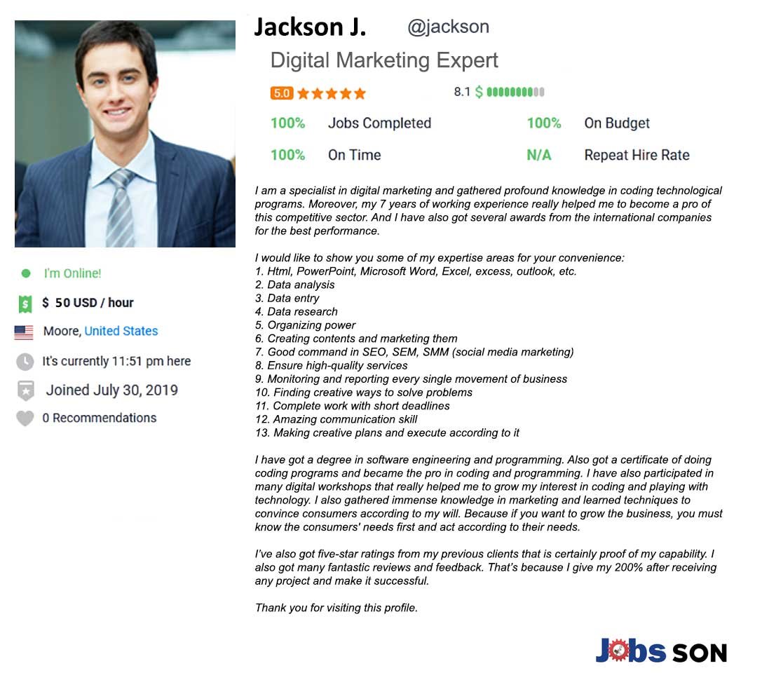 Freelancer Profile Summary Sample For Digital Marketer