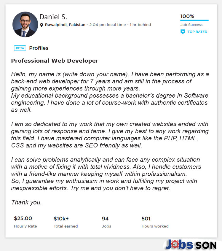 Web Developer Overview Sample for Upwork Profile