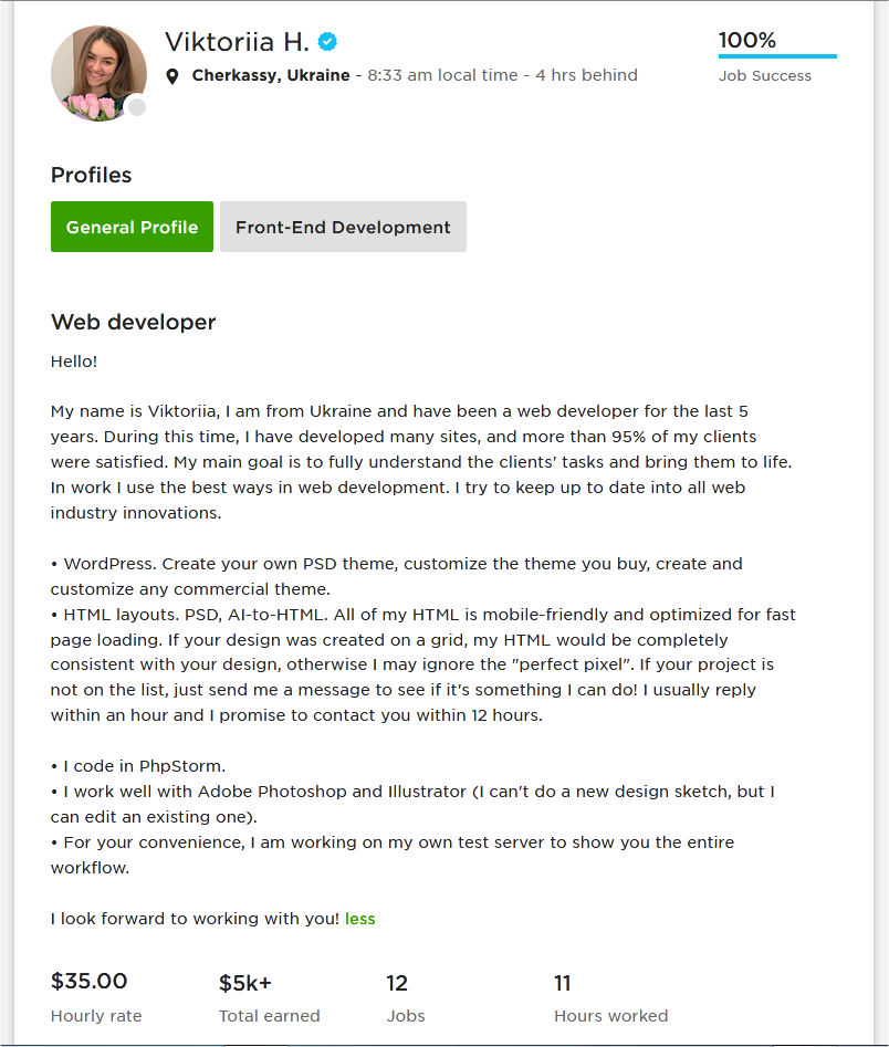 Web Developer Overview Sample for Upwork Profile