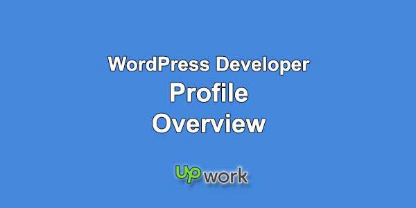 Upwork Profile Overview Sample for WordPress Developer